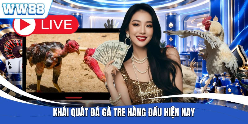 Khái quát đá gà tre hàng đầu hiện nay