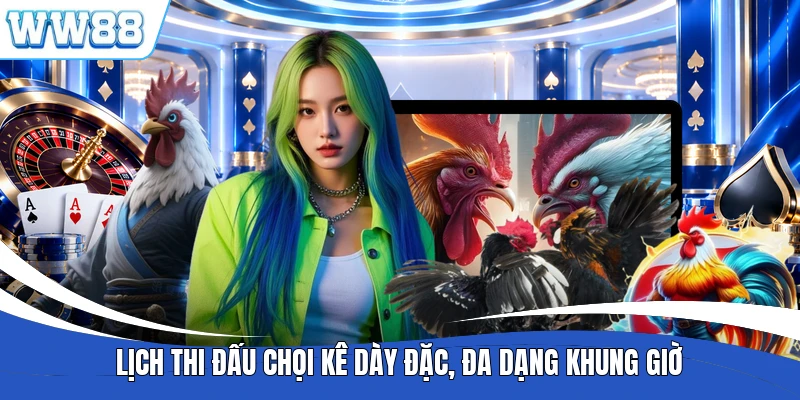 Lịch thi đấu chọi kê dày đặc, đa dạng khung giờ