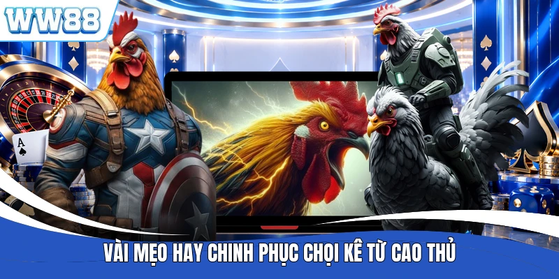 Vài mẹo hay chinh phục chọi kê từ cao thủ