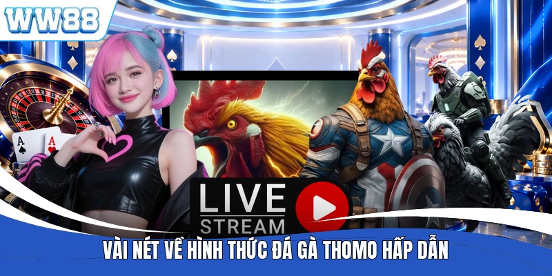 Vài nét về hình thức đá gà Thomo hấp dẫn